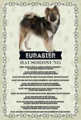 Produktbild von vianmo Holzschild 30x20 cm Tiere Eurasier Hausordnung Hunde