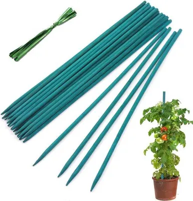 Produktbild von Famanu Bamboostangen für Gartenpflanzen - 25 Stück 45 cm
