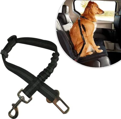 Productafbeelding van Go Go Gadget – "Bescherm uw hond: Veiligheidsgordel voor huisdieren in de auto."