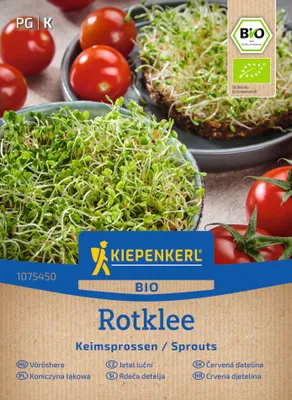 Produktbild von Kiepenkerl Keimsprossen-Saat Rotkleesamen Trifolium pratense 20 g