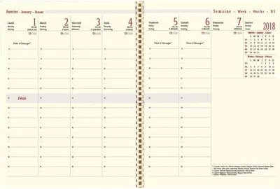Wochenkalender-Nachfüllpackung 21x27 cm, 1 Stück, 2023, 3-sprachig