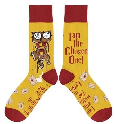 Image de Chaussettes - Wybraniec, taille 34/37 - Molom