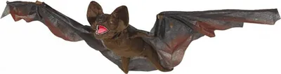 Produktbild von Guirca Fledermaus 90 Cm    One Size