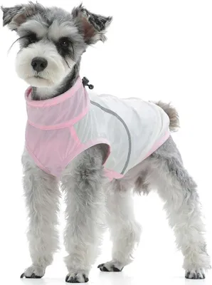 Produktbild von Famanu Sonnenschutz Hundeweste für kleine Hunde - Grau