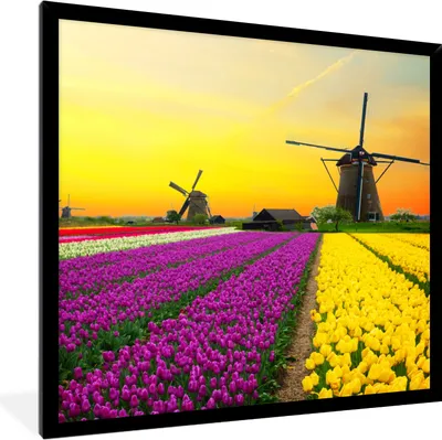 Produktbild von MuchoWow® Gerahmtes Poster Windmühle - Tulpen - Blumen - Frühling 40x40 cm - Poster mit Schwarzem Bilderrahmen Wandposter Rahmen Foto Bilder - Mit Rahmen - Wanddekoration Schlafzimmer