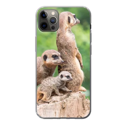 Produktbild von MuchoWow® Handyhülle Schutzhülle Hülle für iPhone 13 Pro Max Erdmännchen - Baumstumpf - Jungtier Silikon Softcase Handy Hülle - Mobiltelefon