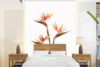 Produktbild von MuchoWow® Fototapete für Wohnzimmer oder Schlafzimmer Wandtapete Vinyl Motivtapete Blumen - Orange - Natur - Pflanzen - 190x260 cm - Papiertapete