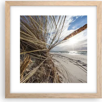 Produktbild von Gerahmtes Poster - Rahmen in heller Eiche - Küste Perspektive Gras - 30x30 cm - Wand Bild - Wanddeko - Wandbilder - Kunstposter - Wandposter - Bilderrahmen - Bilder - Kunstdruck - P2NAC30x30-4526
