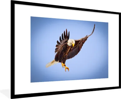 Produktbild von MuchoWow® Gerahmtes Poster Ein Weißkopfseeadler am blauen Himmel 90x60 cm - Poster mit Schwarzem Bilderrahmen Wandposter Rahmen Foto Bilder - Wanddekoration - Fotos