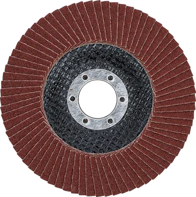 Obrázek produktu pro BGS technic Flap Disc, Hliník, 64 g