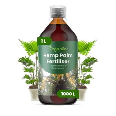 Produktbild von Hanfpalme Flüssigdünger 1L – 2-1-8 NPK – Flüssig-Pflanzendünger für Hanfpalmen (Trachycarpus fortunei) – Organifer