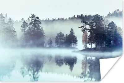 Produktbild von MuchoWow® Poster Wald - Nebel - Winter 30x20 cm - Plakate - Print