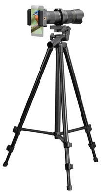 A smartphone attached to a telephoto lens and mounted on a tripod.