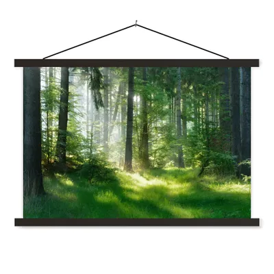 Produktbild von MuchoWow® Textilposter Natur - Bäume - Wald - Grün - Sonne - Gras - Pflanzen 120x80 cm mit schwarzem Rahmen - Wanddeko