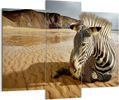 Produktbild von Bild auf Leinwand - Leinwandbild - Zebra Strand Landschaft - 130x100cm - Wand Bild - Wanddeko - Leinwanddruck - Bilder - Kunstdruck - Wanddekoration - Leinwand bilder - Wandkunst - CB130x100-0213