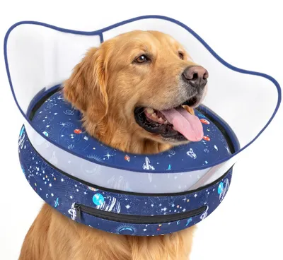 Hundehalsband XL, Sternenhimmel-Design, 1 Stück