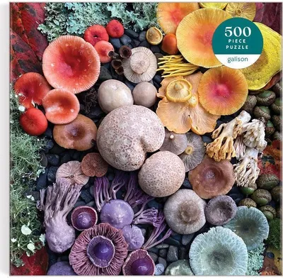 Produktbild von GALISON Čtvercové puzzle Rozkvetlé houby 500 dílků