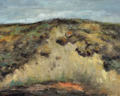 Obrázek produktu pro Vincent Van Gogh Art Print Obraz - Duny, 1882 (40 x 50 cm)