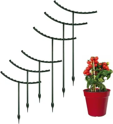 Produktbild von Ibenzoa® Metall-Pflanzenstützen-Set (6) – halbrunde Stützringe zur Stabilisierung kleiner Topf- und Sukkulentenpflanzen