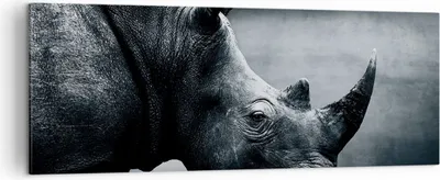 Produktbild von Bild auf Leinwand - Leinwandbild - Einteilig - Nashorn Schwarzweiß Porträt - 140x50cm - Wand Bild - Wanddeko - Wandbilder - Leinwanddruck - Bilder - Wanddekoration - Leinwand bilder - AB140x50-4347