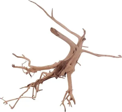 Produktbild von M Siennawurzel Nr.3239 Wurzel Holz Aquarium Deko Aquascaping