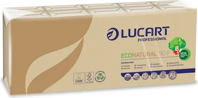 Image de Lucart Econatural 90F - mouchoirs en papier, 10 pièces