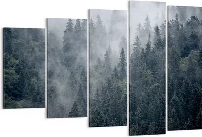 Produktbild von Bild auf Leinwand - Leinwandbild - Wald Baum Natur - 150x100cm - Wand Bild - Wanddeko - Wandbilder - Leinwanddruck - Bilder - Kunstdruck - Wanddekoration - Leinwand bilder - Wandkunst - EG150x100-4074