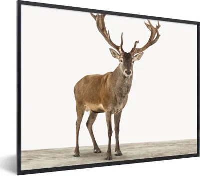 Produktbild von MuchoWow® Gerahmtes Poster Hirsche - Tiere - Geweih - Kinder - Mädchen - Jungen 80x60 cm - Poster mit Schwarzem Bilderrahmen Wandposter Rahmen Foto Bilder - Schwarzem - Mit Gestell