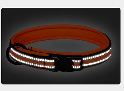 Reflektierendes Nylonhalsband mit Sicherheitsverschluss und Neoprenfüllung - XS (rot)