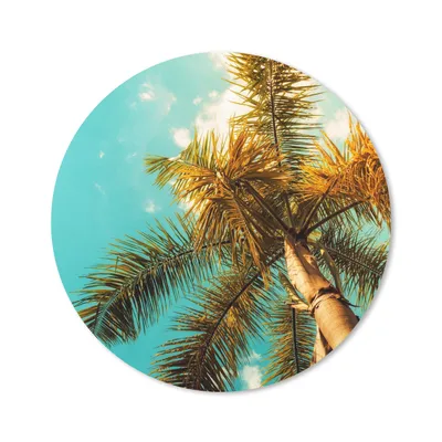 Produktbild von MuchoWow® Mauspad Mousepad Palme - Sommer - Tropisch 30x30 cm - Mousepads - Maus Mat - Pad - Mausunterlage - Tischunterlage - Schreibtischmatten
