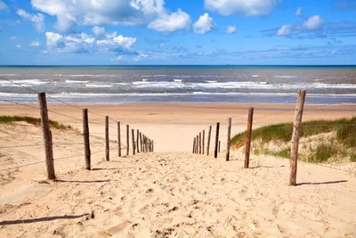 Produktbild von Fototapete Vlies 21963 Path to Sandy Beach 8-tlg. 400 x 260 cm