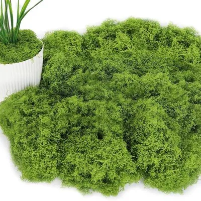 Image de Mousse artificielle décorative 150 g, verte, pour aquarium mural