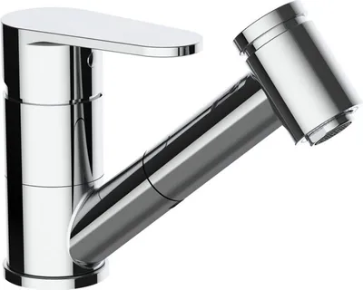 Immagine prodotto di Beitz & Walz AQVABASIC I Rubinetto da lavello con doccetta di design cromata