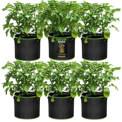 Produktbild von Anzuchttüten, 3 Gallonen / 10 Liter, Set mit 6 Stück, mit Tragegriffen