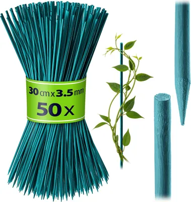 Produktbild von KADAX Bambusstäbe 30 cm x 3,5 mm, 50er Set, Pflanzstäbe aus Bambus, Holzstäbe als Pflanzenstütze für Setzlinge, Blumenstäbe, Rankhilfe für Pflanzen, Rankstäbe (grün)