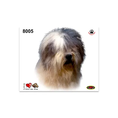 Immagine prodotto di Adesivo Bobtail 14 x 16 cm