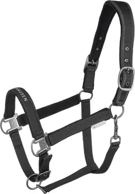 Produktbild von Waldhausen Halfter Athletic Nylonhalfter Schwarz WB