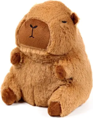 Produktbild von Capybara Türstopper