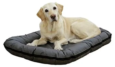 Image de Kerbl Liegekissen Oxford Place (Farbe grau L x B x H 120 x 85 x 17 cm) 80436