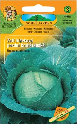 Immagine prodotto di Cavolo tardivo AVAK F1 - ibrido
