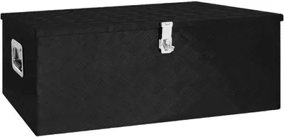 Obrázek produktu pro The Living Store Úložný box černý 100x55x37 cm Hliník