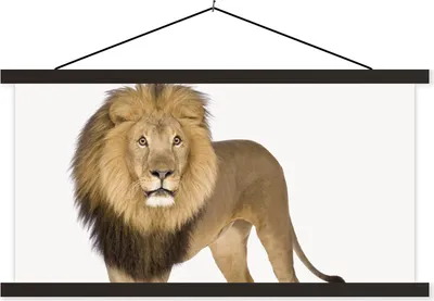 Produktbild von MuchoWow® Textilposter Jungen - Löwe - Tiere - Kinder - Mädchen 60x30 cm mit schwarzem Rahmen - Textilien