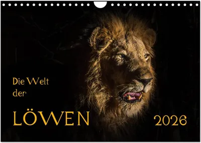 Produktbild von Die Welt der Löwen (Wandkalender 2026 DIN A4 quer), CALVENDO Monatskalender