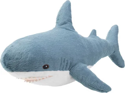 A plush toy shark against a white background.