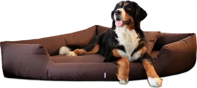 Produktbild von tierlando TRIVIA | Komfort Eckhundebett robustes Polyester Hundebett Hundesofa - Größe: 120x120cm | Farbe: 01 Braun