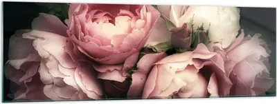 Produktbild von Bilder auf glas - Pfingstrose Blume - 160x50cm - Glasbilder - Wandbilder - Kunstdruck - zum Aufhängen bereit - Wanddekoration aus Glas - Glas Bilder - Wandbild auf Glas - Einteilig - GAB160x50-3930