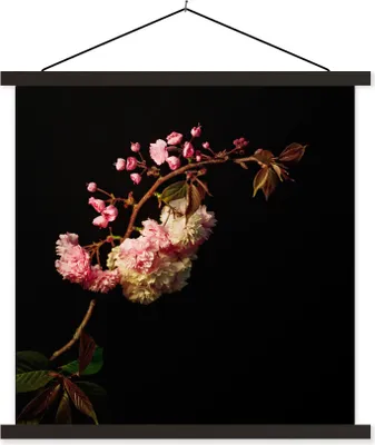 Produktbild von MuchoWow® Textilposter Eine Kirschblüte vor schwarzem Hintergrund 120x120 cm mit schwarzem Rahmen - Aufhängungsset