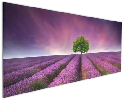 Produktbild von Wallario Küchenrückwand aus Glas, Größe: 125 x 50 cm, Motiv: Lila Blumenfeld | Spritzschutz | abwischbar | pflegeleicht | in