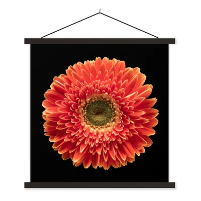 Produktbild von MuchoWow® Textilposter Eine orangefarbene Gerbera-Blüte vor schwarzem Hintergrund 90x90 cm mit schwarzem Rahmen - Magnetisches
