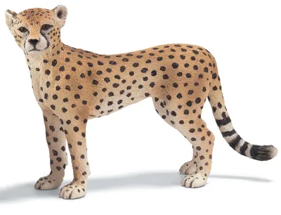 Image de Guépard d'Afrique Schleich 14614